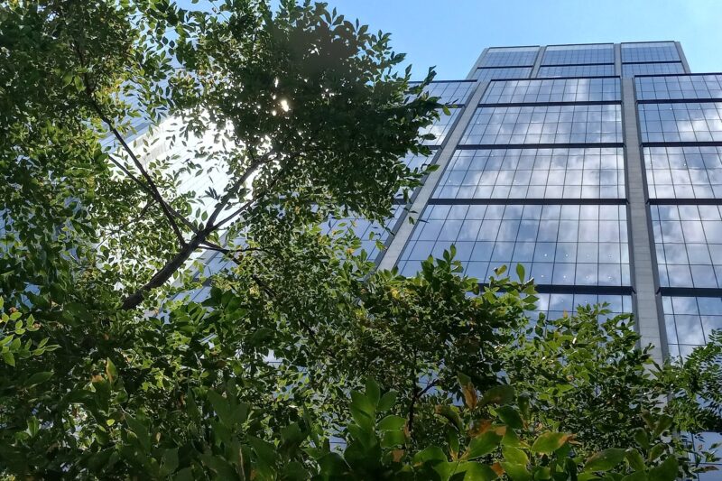 The ESG Retreat: Asset Managers Exit Net-Zero Commitments