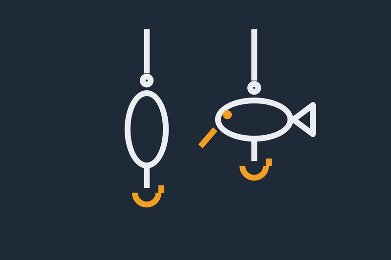 Simple graphic of two fishing lures