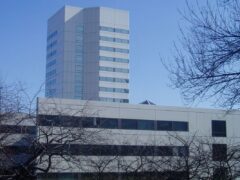Johnson & Johnson – Woke Company Report